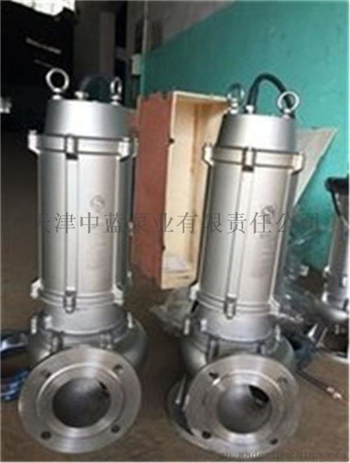 南方排污利器 高能效潜水污水泵的实拍展示与应用解析 – 中蓝泵业
